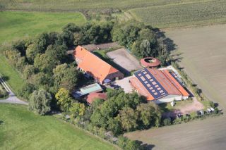 Bauernhof Wangerland Pretty Horse Farm Bild 2